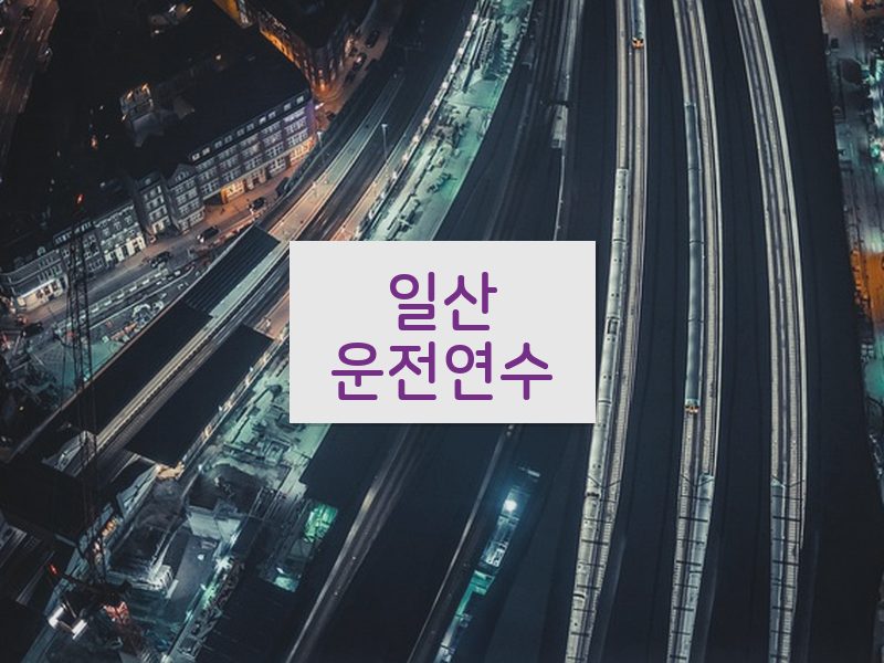 일산운전연수 후기