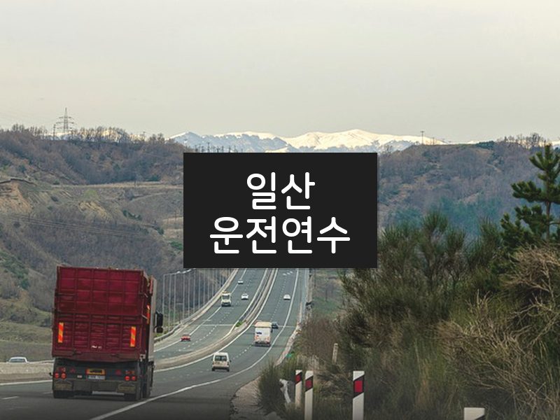 일산운전연수 후기