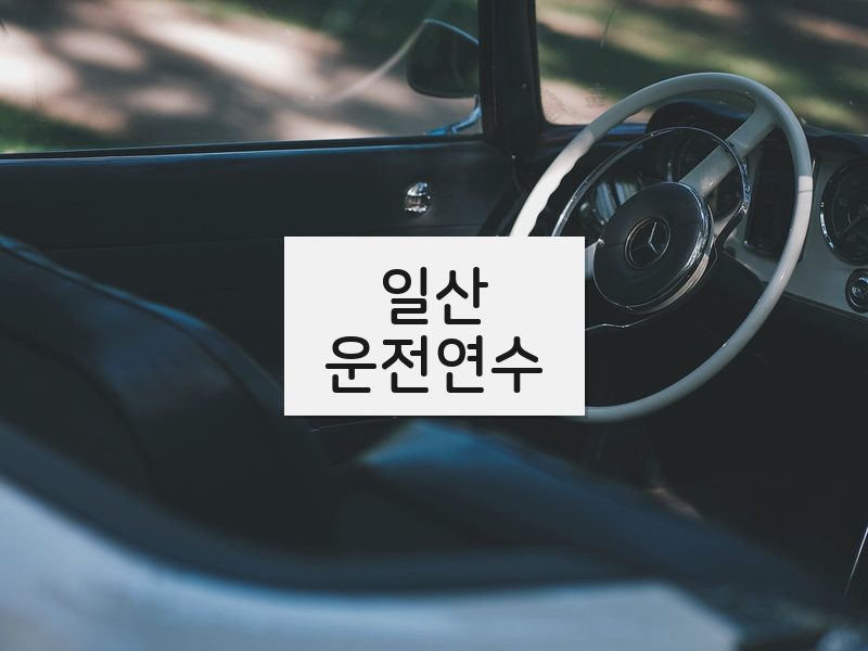 일산운전연수 후기