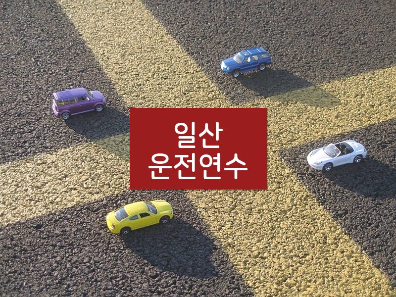 일산운전연수 후기