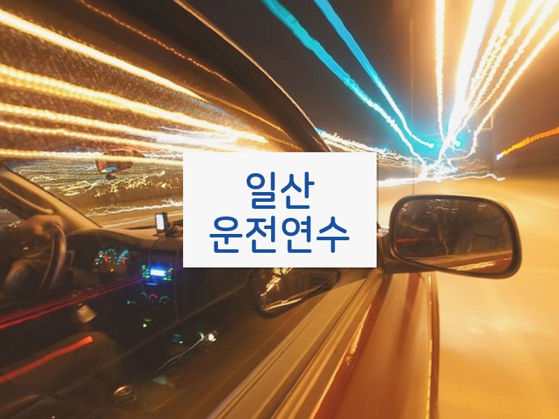 일산운전연수 후기