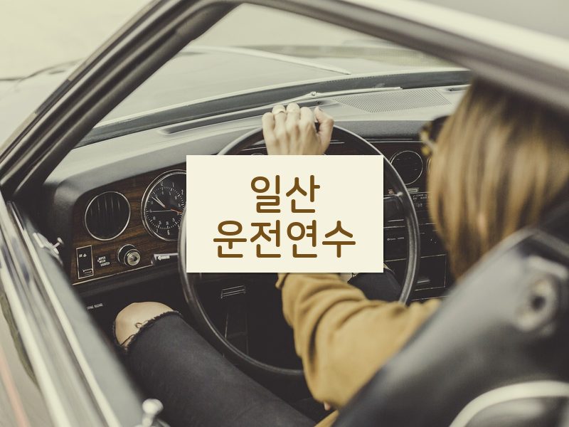 일산운전연수 후기