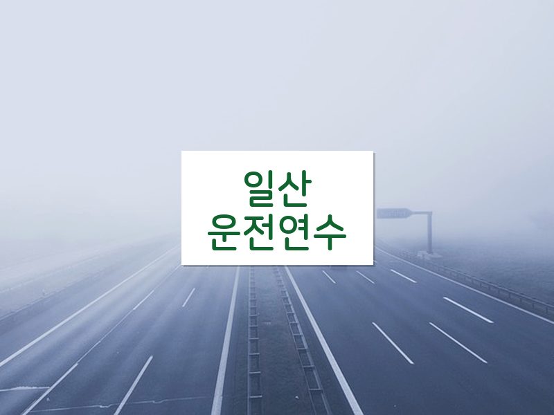 일산운전연수 후기