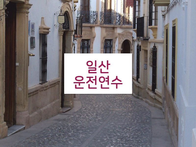 일산운전연수 후기