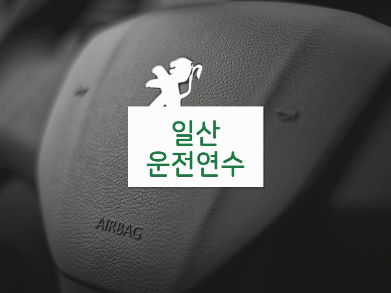일산운전연수 후기