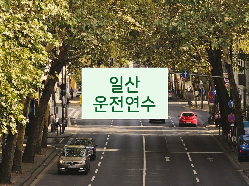 일산운전연수 후기