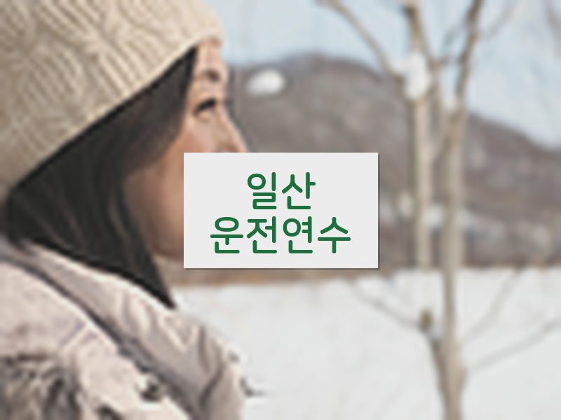 일산운전연수 후기