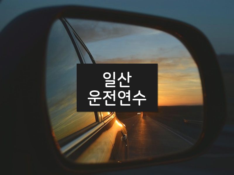일산운전연수 후기