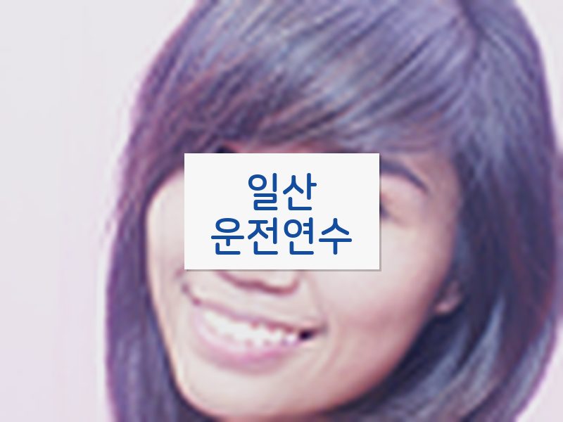 일산운전연수 후기