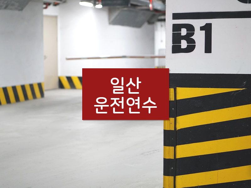 일산운전연수 후기