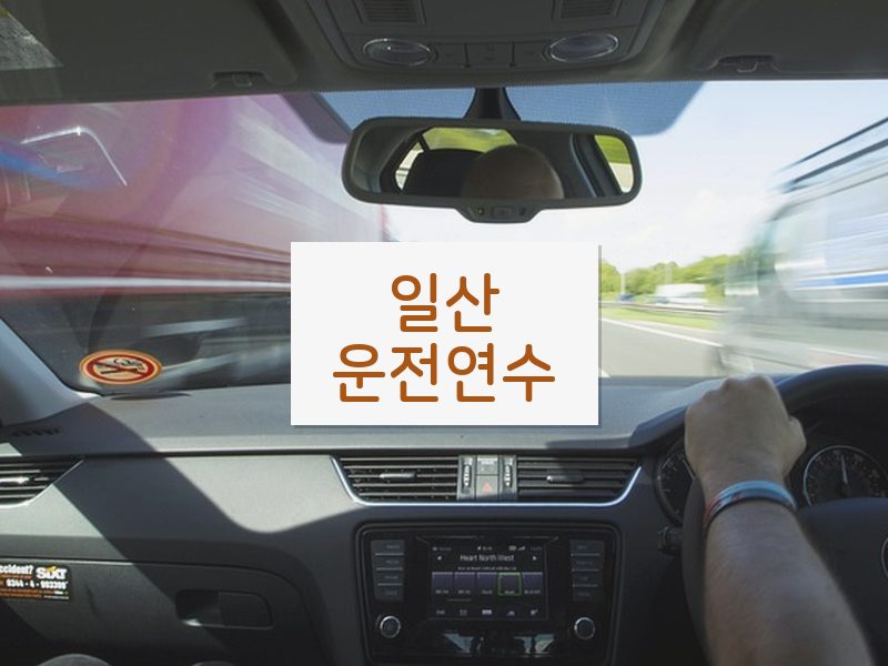 일산운전연수 후기