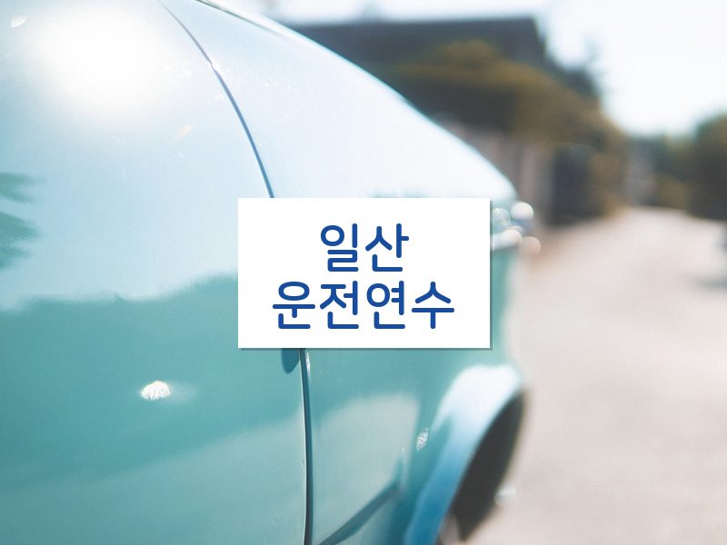 일산운전연수 후기