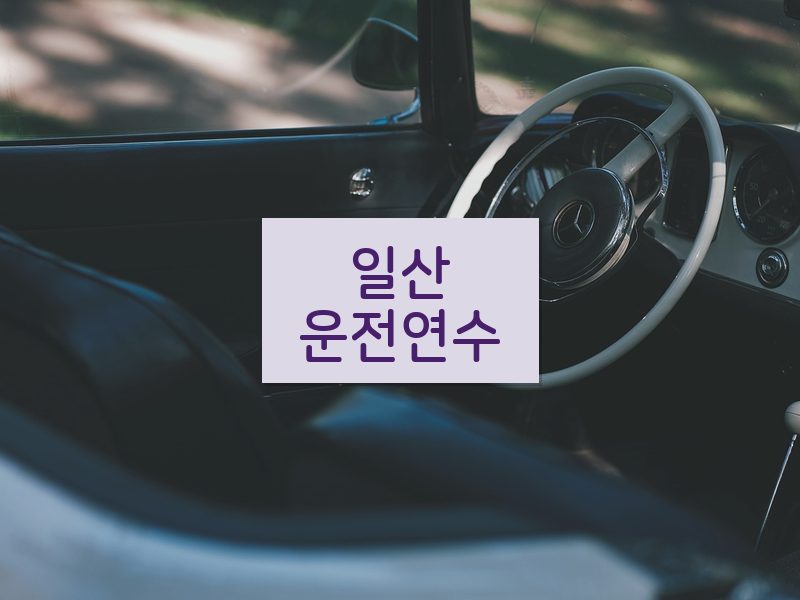 일산운전연수 후기