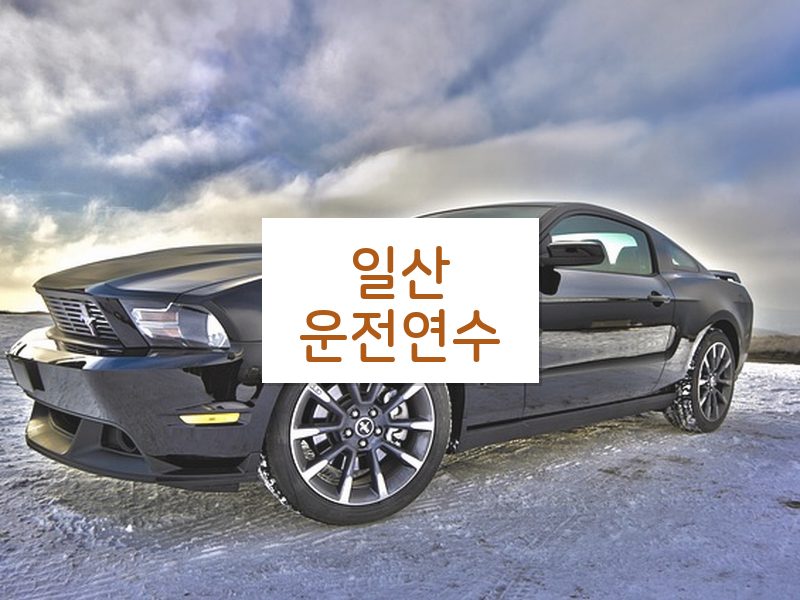 일산운전연수 후기
