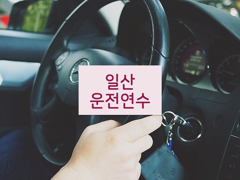 일산운전연수 후기