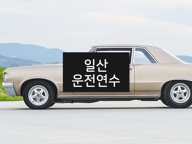 일산운전연수 후기