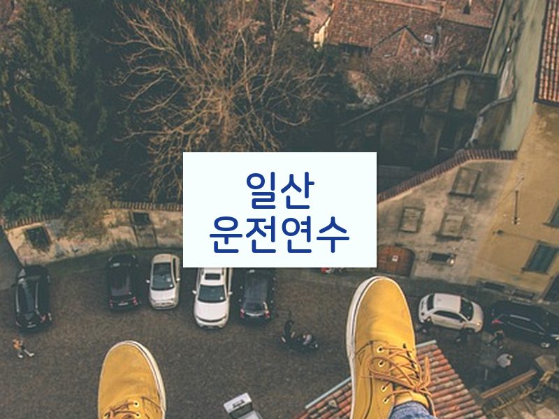 일산운전연수 후기