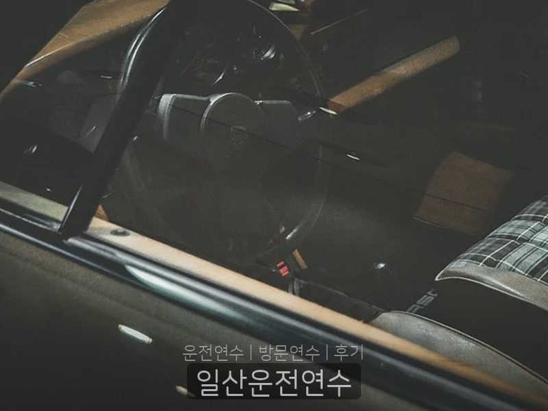 일산운전연수 후기