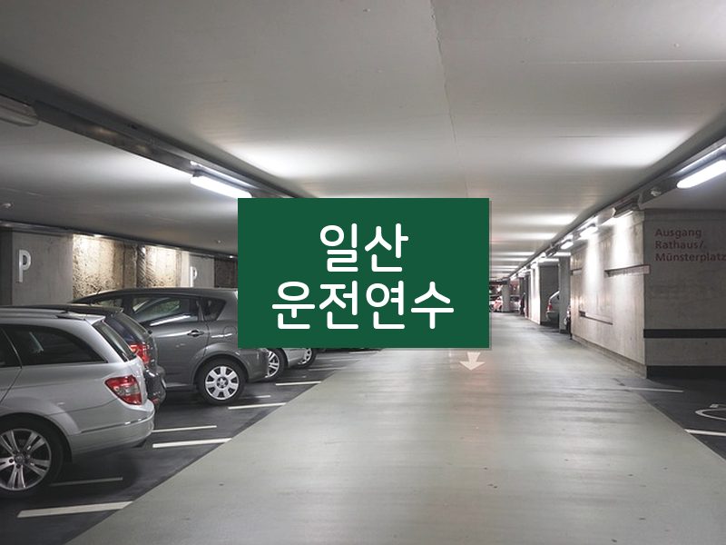 일산운전연수 후기