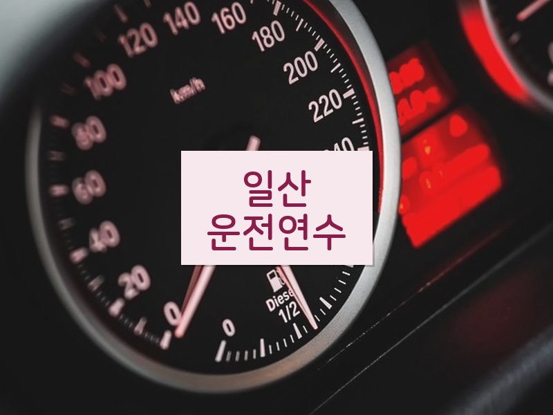 일산운전연수 후기