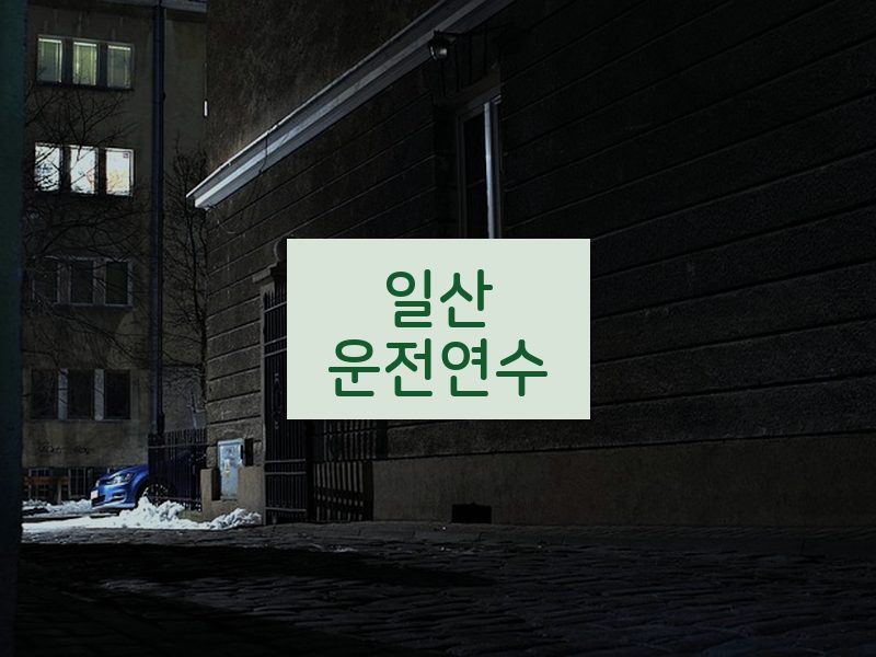 일산운전연수 후기