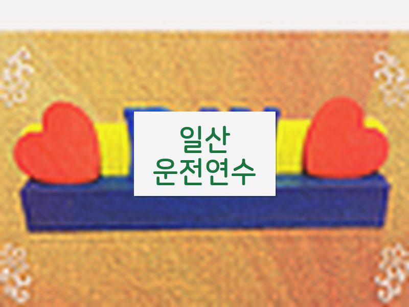 일산운전연수 후기