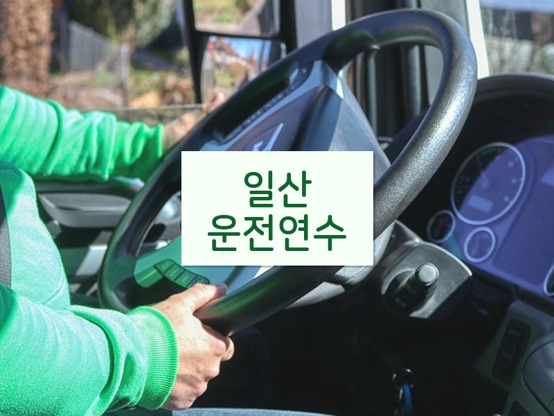 일산운전연수 후기