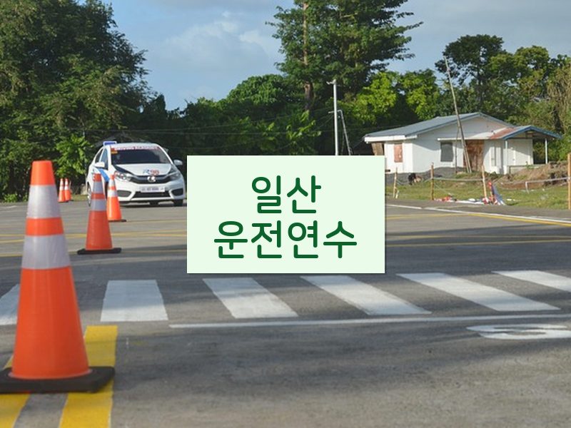 일산운전연수 후기