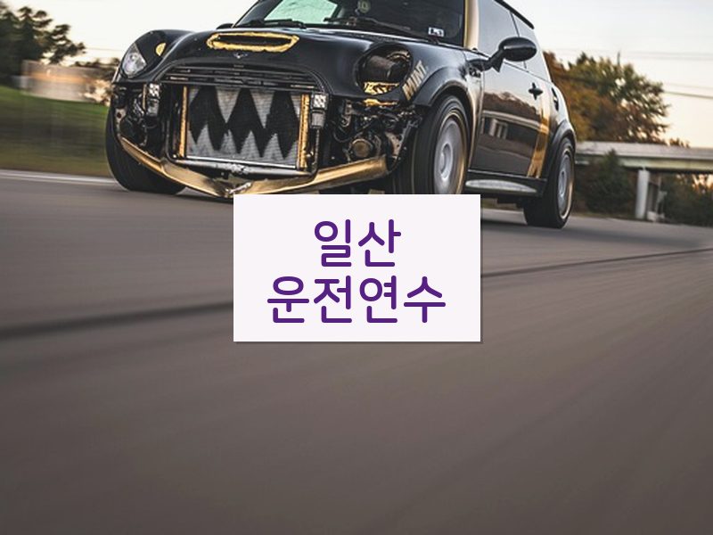 일산운전연수 후기