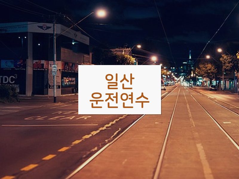 일산운전연수 후기