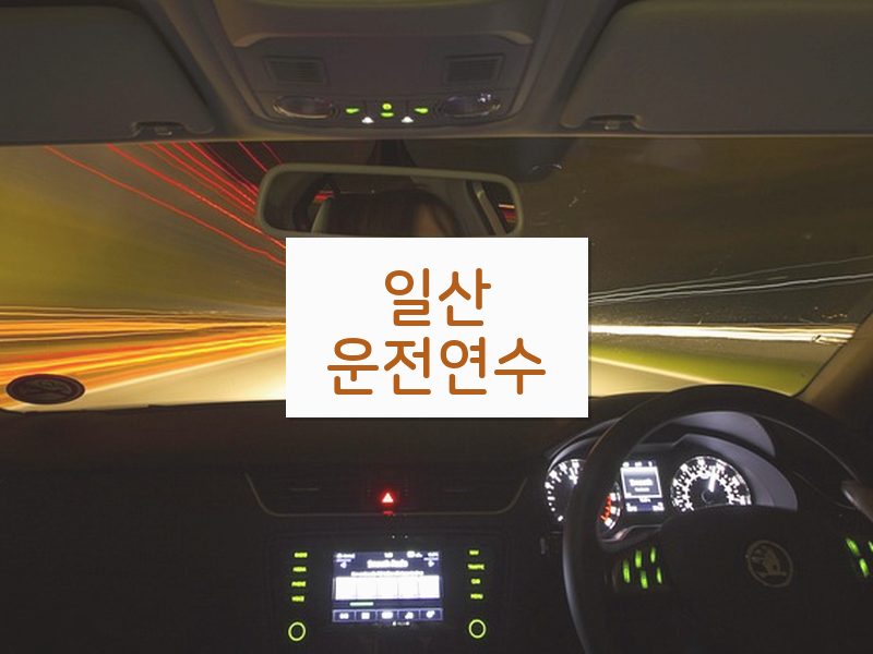 일산운전연수 후기