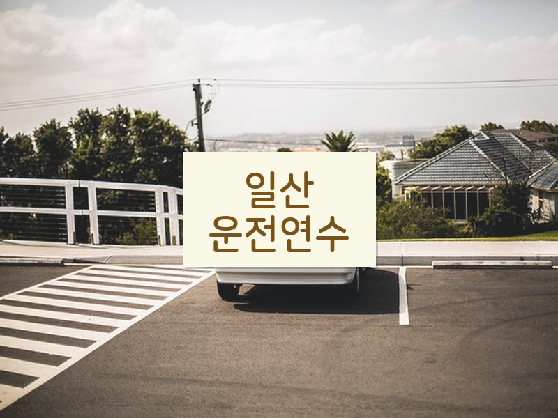 일산운전연수 후기