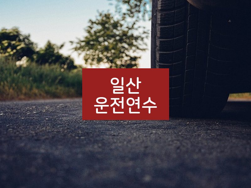 일산운전연수 후기