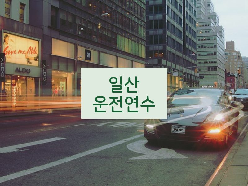 일산운전연수 후기