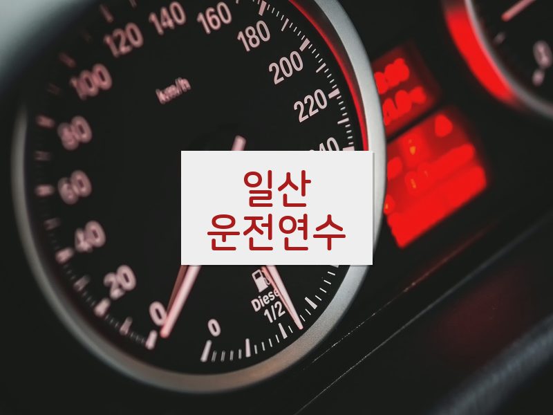 일산운전연수 후기