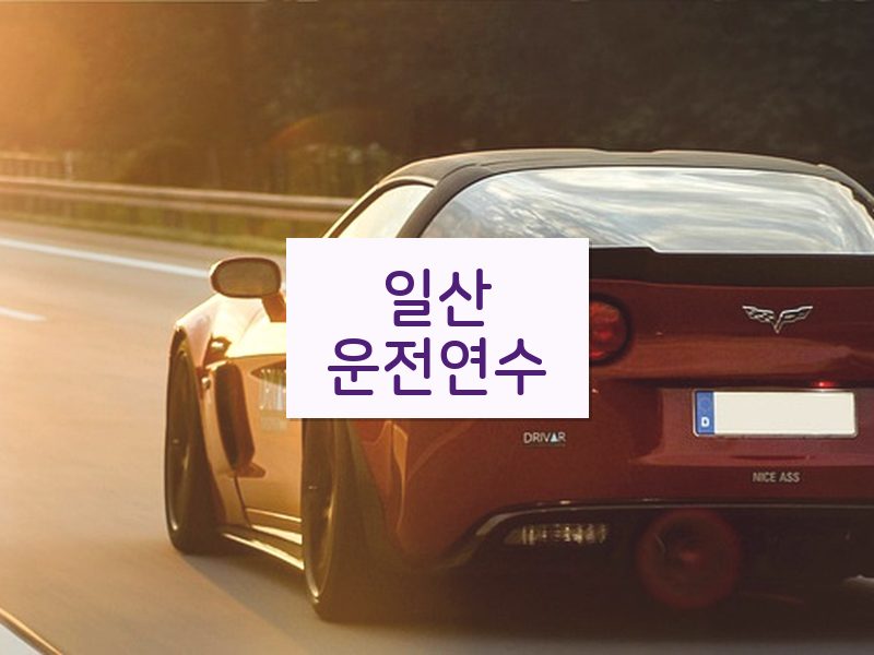일산운전연수 후기