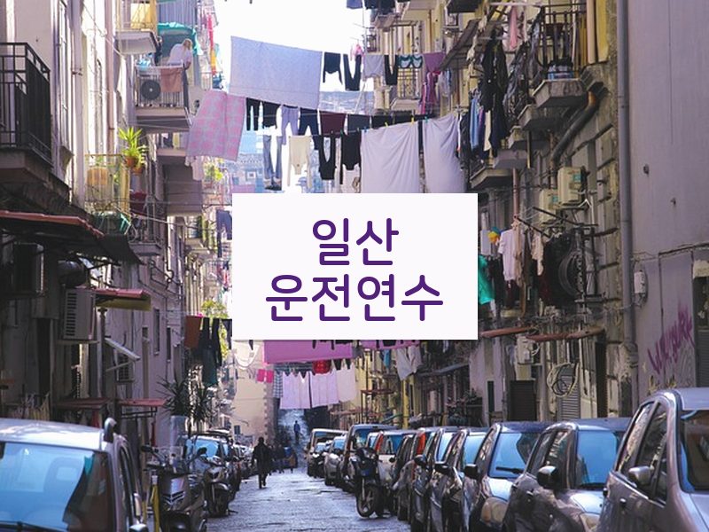 일산운전연수 후기