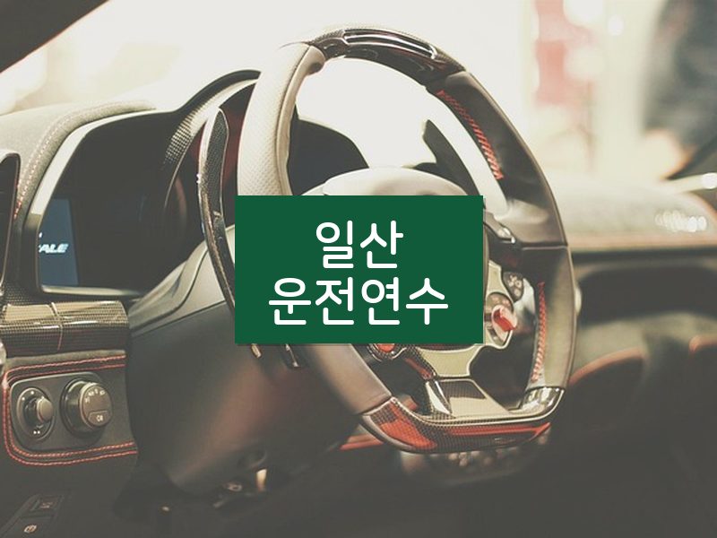 일산운전연수 후기