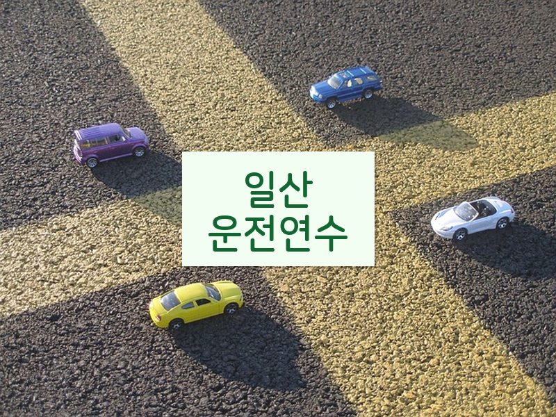 일산운전연수 후기
