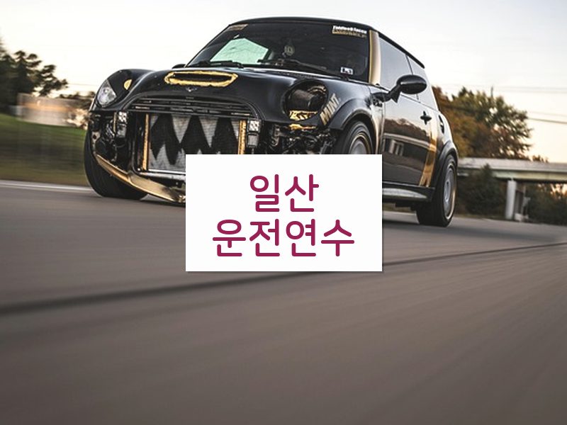 일산운전연수 후기