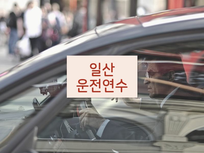 일산운전연수 후기