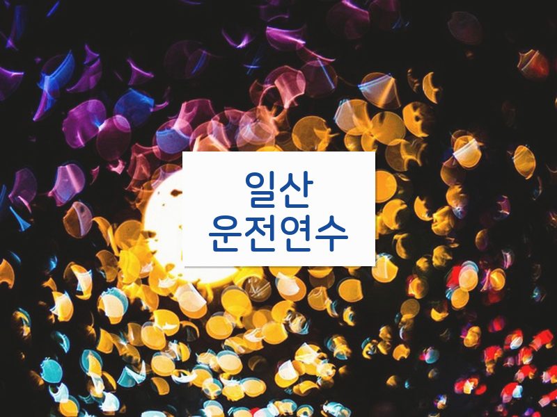 일산운전연수 후기