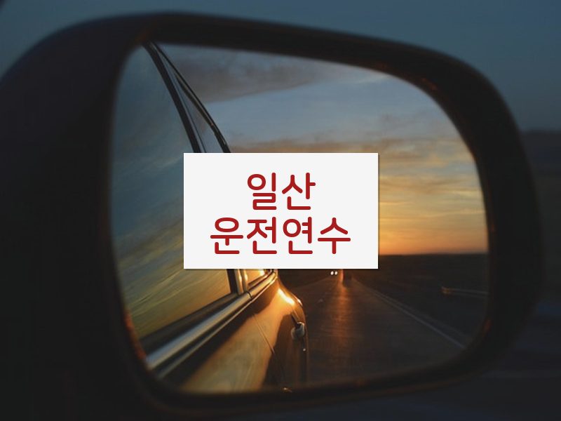 일산운전연수 후기