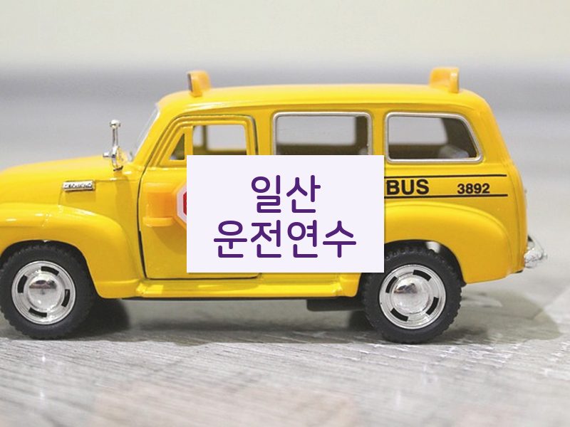일산운전연수 후기