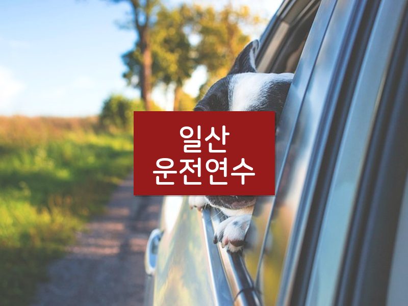 일산운전연수 후기