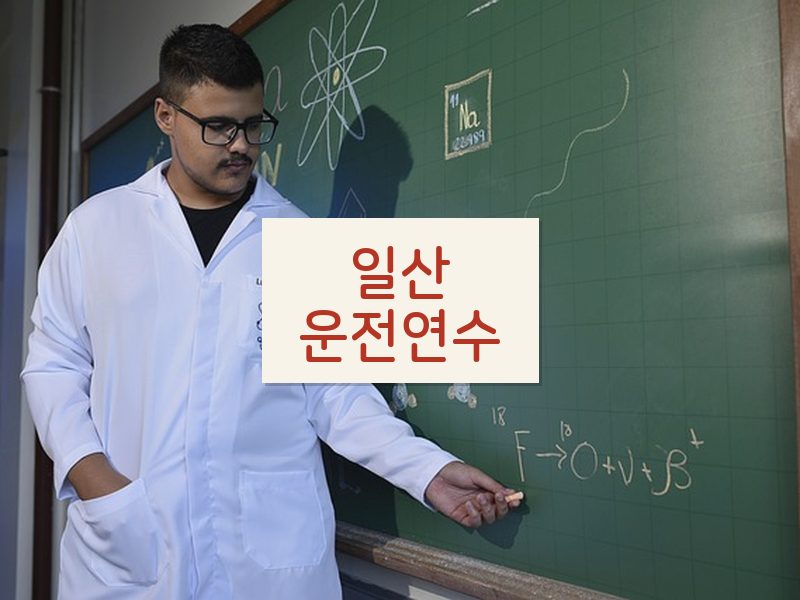 일산운전연수 후기