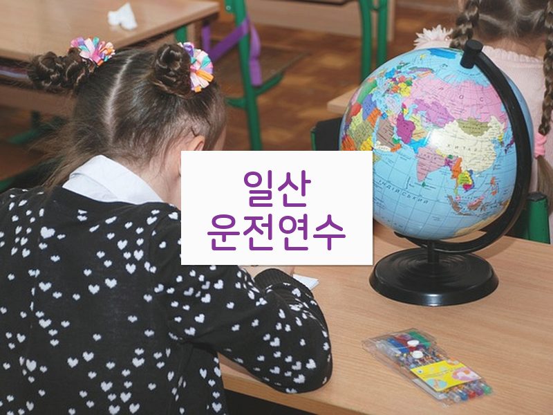 일산운전연수 후기