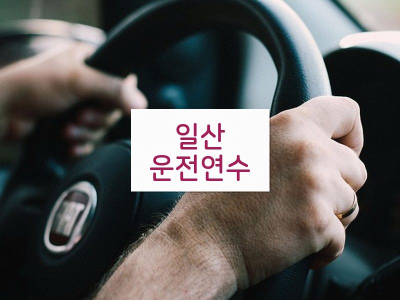 일산운전연수 후기