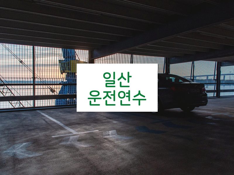 일산운전연수 후기