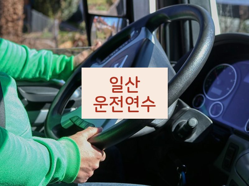 일산운전연수 후기